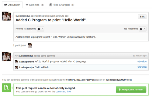 GitHub Pull Request View